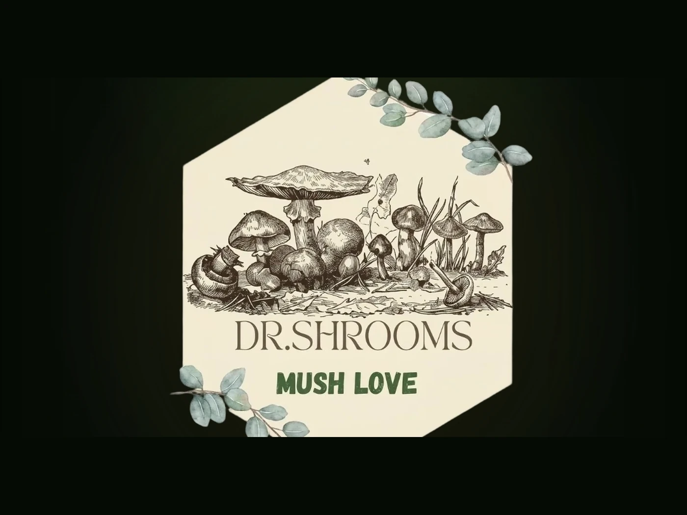 The Dr.Shrooms brand mark, a botanical mushroom illustration on a hexagon badge